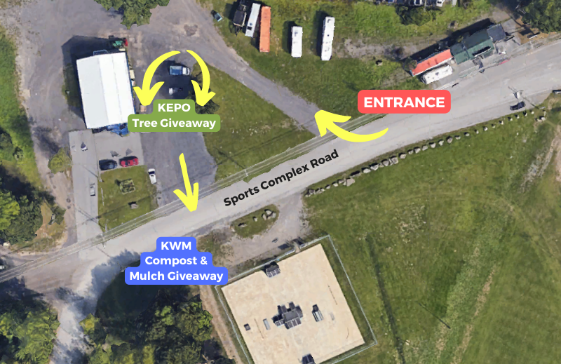 Tree Giveaway