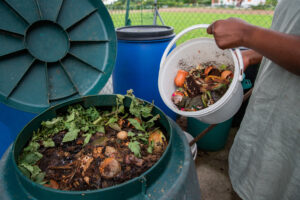 Compost
