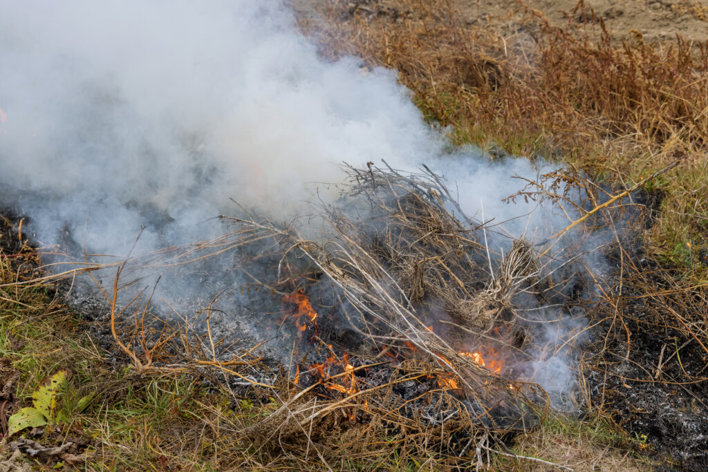 brush fire