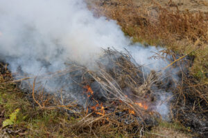 brush fire
