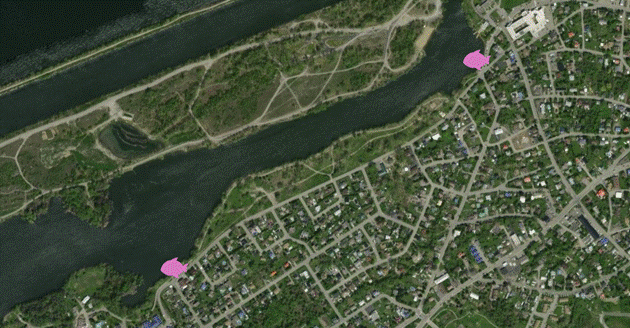 Fish monitoring in Recreation Bay