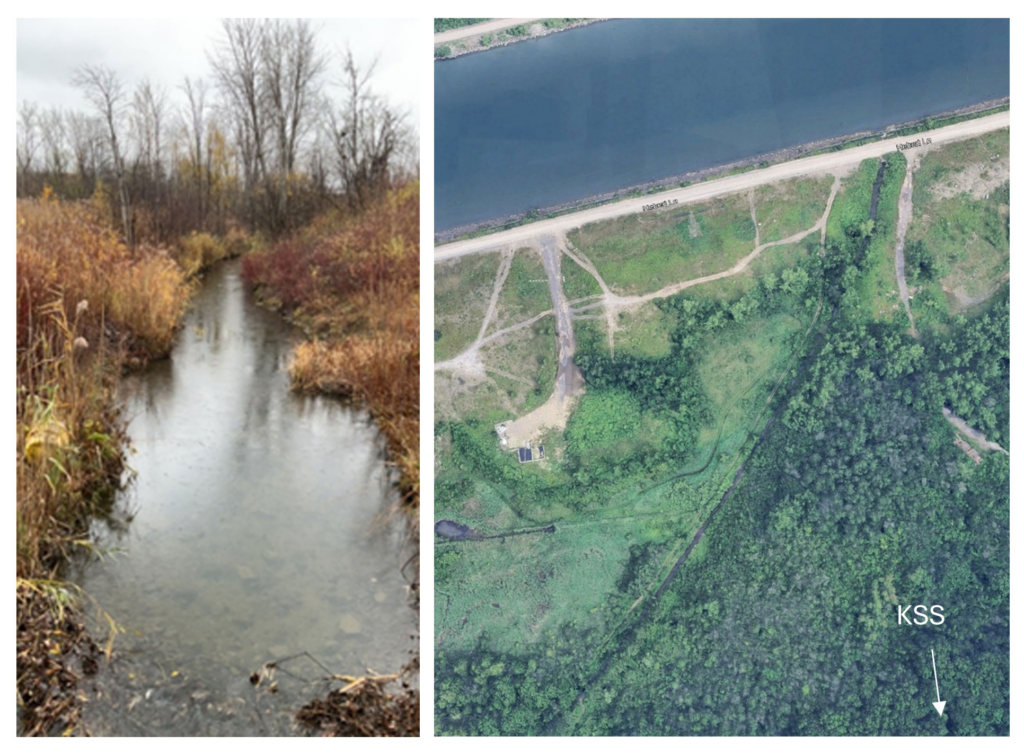 KEPO to host Suzanne River restoration workshop