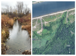 KEPO to host Suzanne River restoration workshop