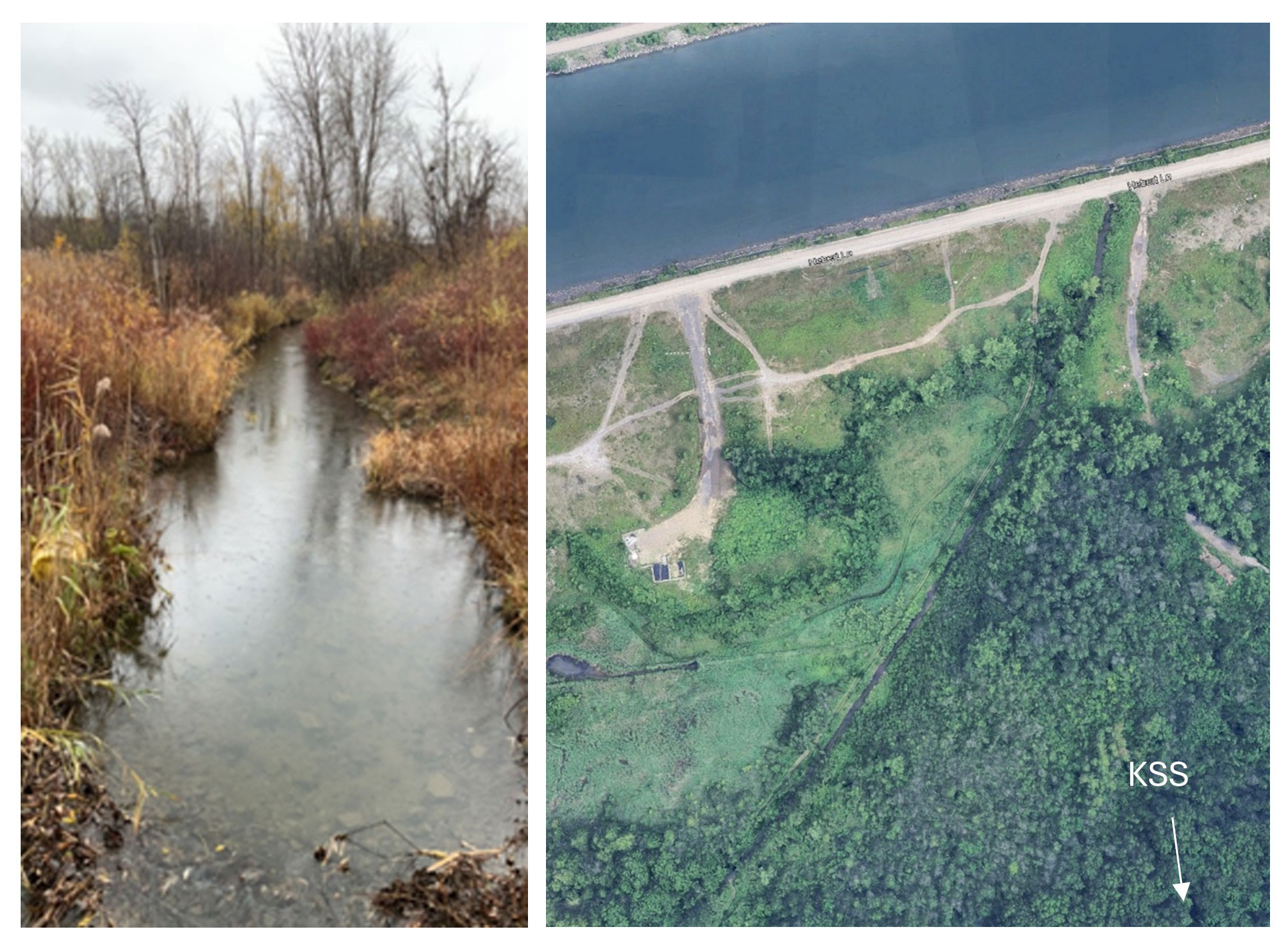 KEPO to host Suzanne River restoration workshop