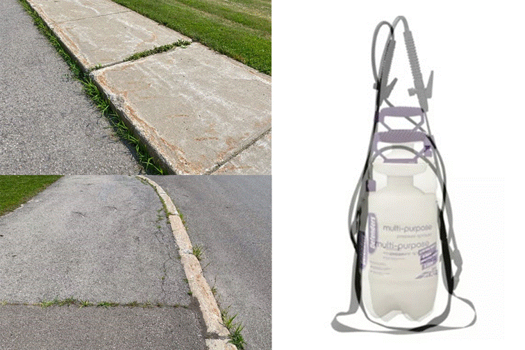 Organic herbicide to begin for roadside and sidewalk weed control