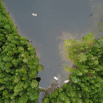 Red Trout Lake water levels impacted by unauthorized beaver dam removal