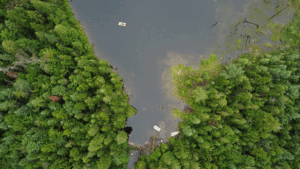 Red Trout Lake water levels impacted by unauthorized beaver dam removal