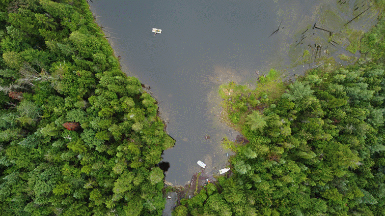 Red Trout Lake water levels impacted by unauthorized beaver dam removal