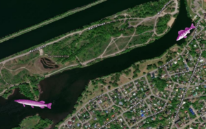 FINS fish monitoring collaboration in Recreation Bay